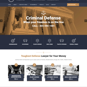 EXAMPLE CRIMINAL DEFENSE SITE